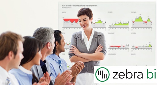 Zebra BI - rapid reporting in Excel